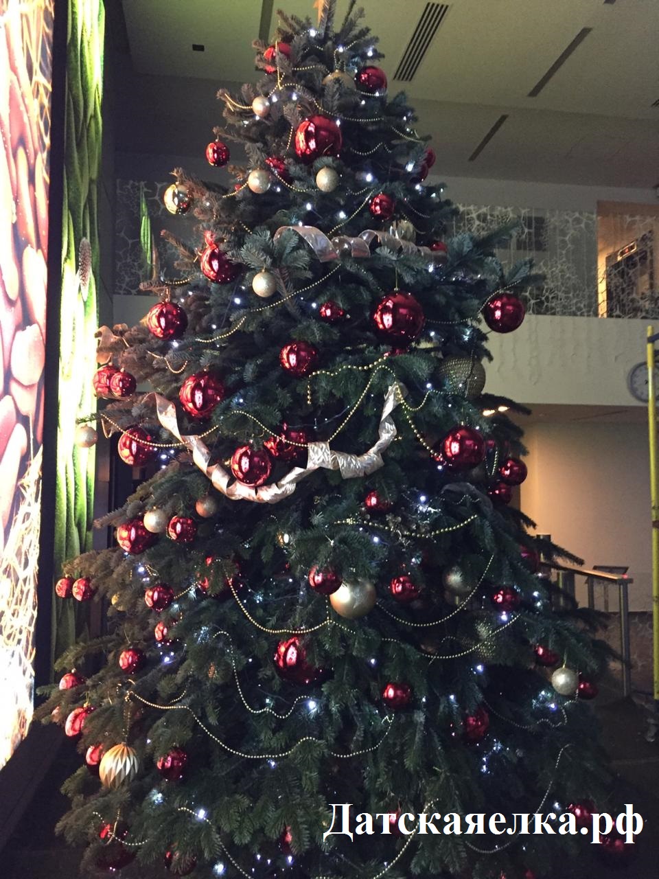 Датская елка 2 метра