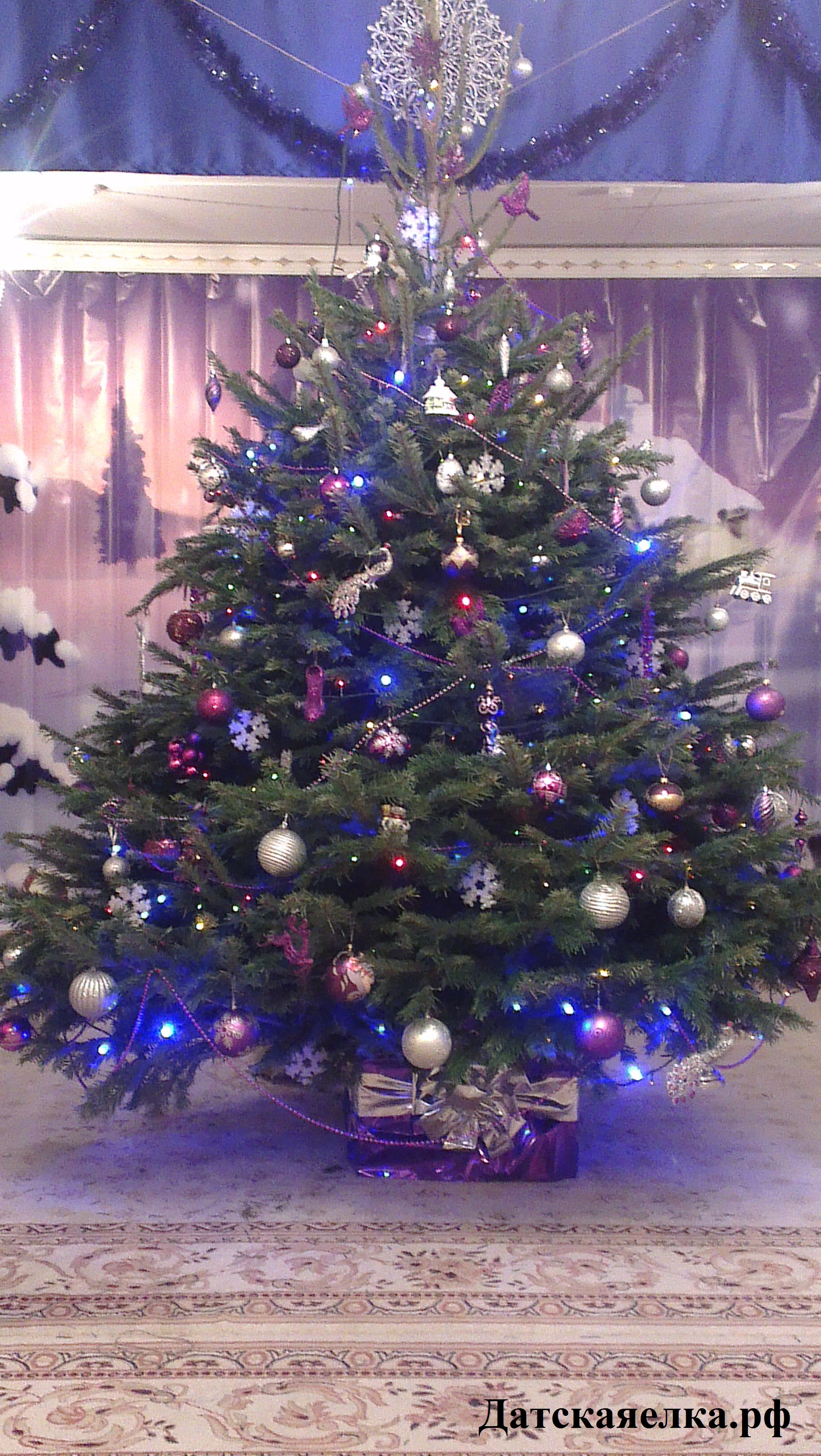 Датская елка 3 метра