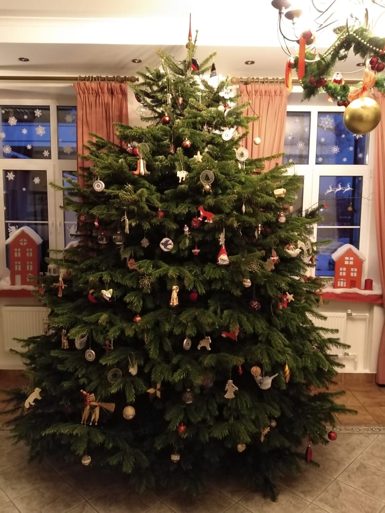 Датская елка 2,8 метра