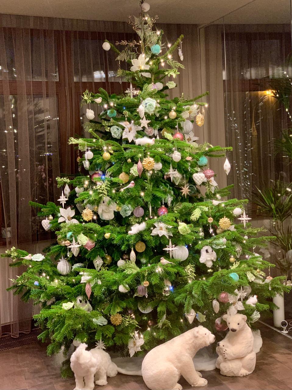 Датская елка 2,5-3  метра