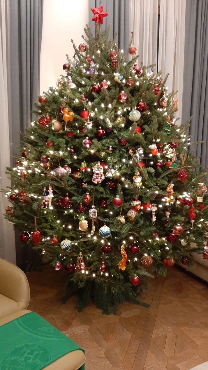 Пихта Фразера